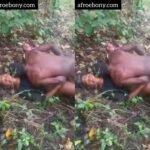 Trending sex in the village bush Africa